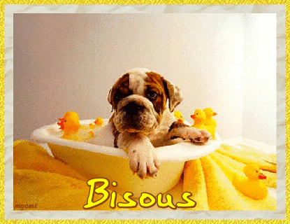 BISOUS CHIEN