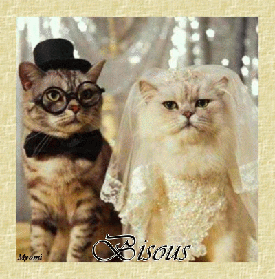 chat mariage