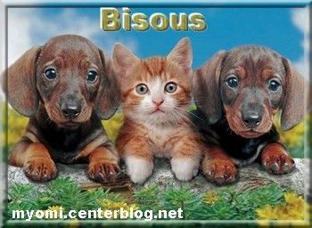 BISOUS ANIMAUX DIVERS