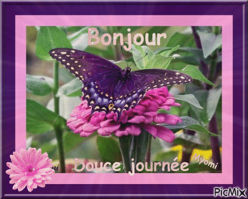 Bonjour tout le monde - Page 25 7215021f