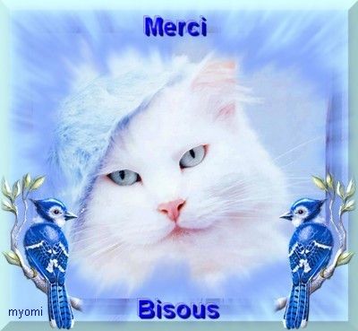 merci bisous chat