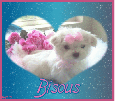 Bisous chien