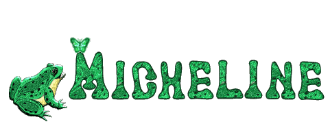 MICHE CADEAU GRENOUILLE