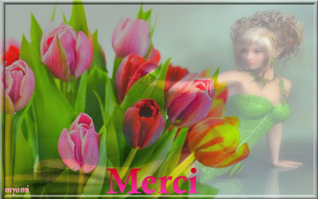 merci tulipes