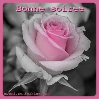 top rose soiree